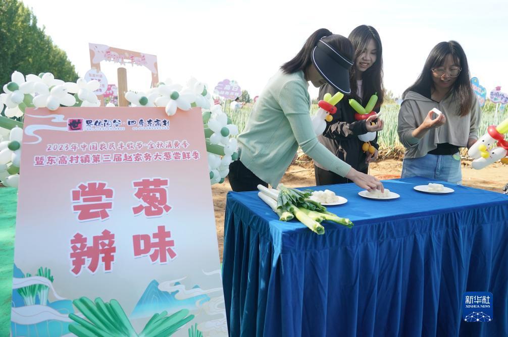 捕鱼赢现金10元提现